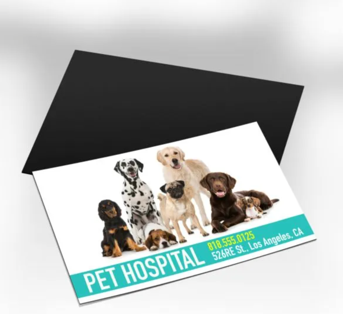 Business Card Magnets